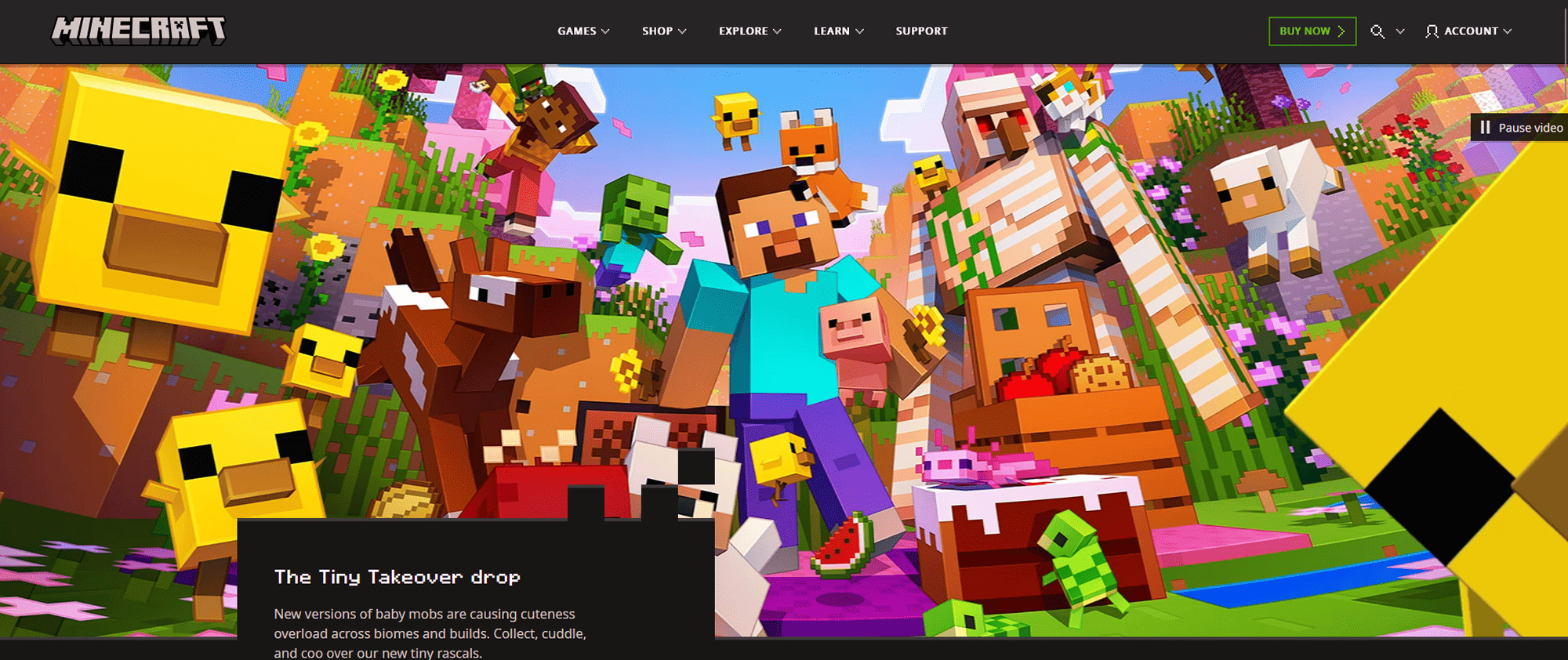 Minecraft landing page